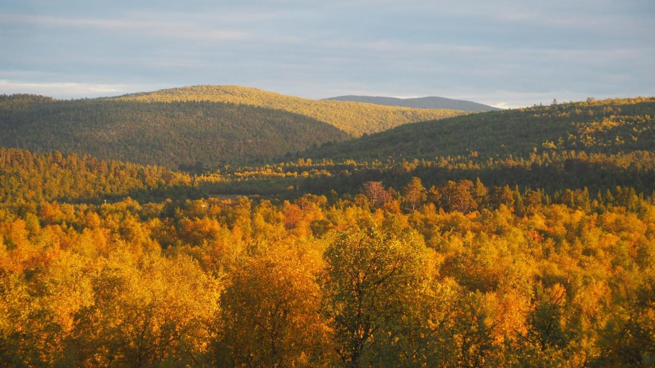 Lomakeskus Napakettu Villa Karigasniemi Esterno foto